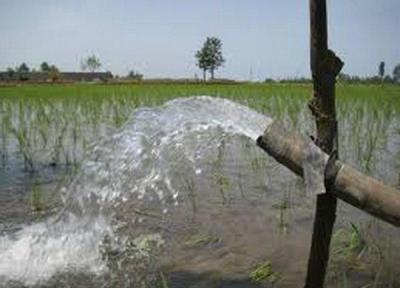 آبیاری باغات با آب شرب ممنوع است