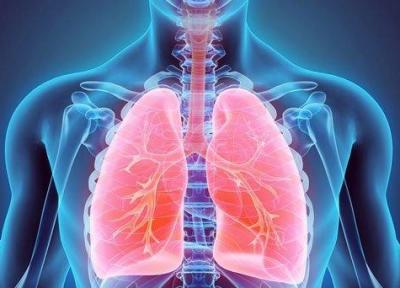 6 راه حل ساده برای تقویت ریه ها و دستگاه تنفسی