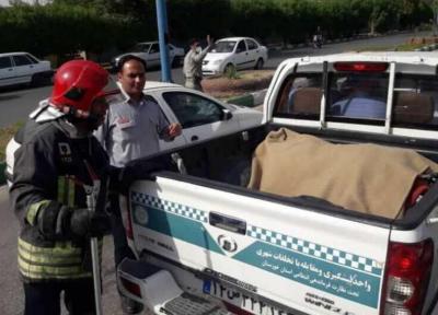 زنده گیری یک قلاده گرگ در منطقه کیانپارس اهواز