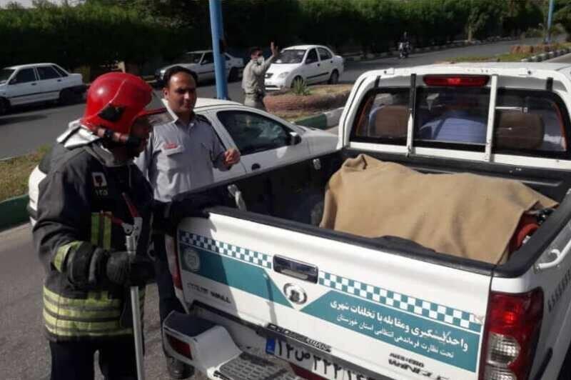 زنده گیری یک قلاده گرگ در منطقه کیانپارس اهواز زنده گیری یک قلاده گرگ در منطقه کیانپارس اهواز