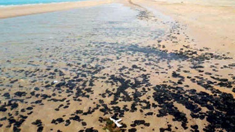 خبرنگاران لکه های نفتی گناوه به ساحل بندر دیلم رسید