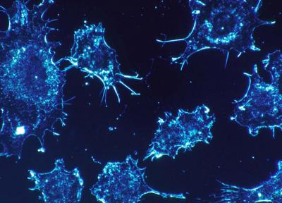 طراحی نانوذراتی که فقط سلول های سرطانی را نابود می نمایند