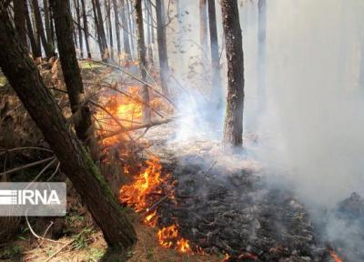 خبرنگاران حدود سه هکتار از جنگل های بخش دودانگه ساری در آتش سوخت