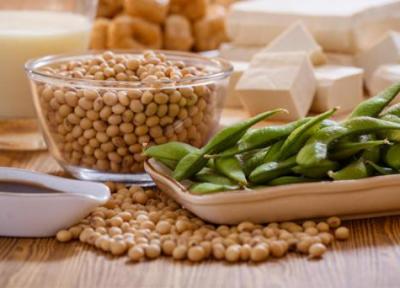 خوردن سویا در بارداری؛ آیا فواید آن به مضراتش می چربد؟