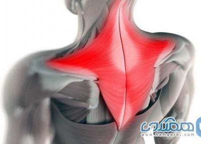 چگونه از شر گره های عضلانی گردن رها شویم؟